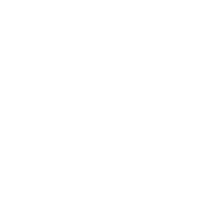 winning award icon
