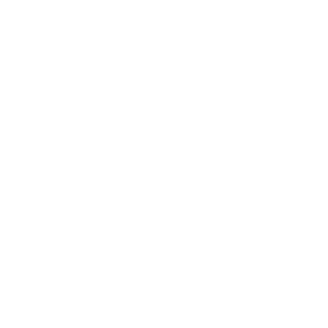 laptop icon