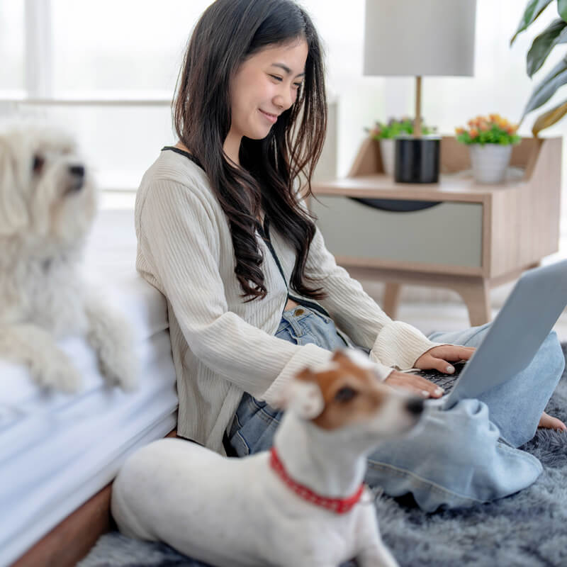 woman on her computer with two dogs next to her